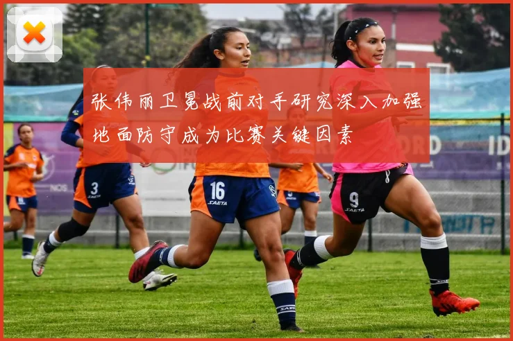 张伟丽卫冕战前对手研究深入加强地面防守成为比赛关键因素