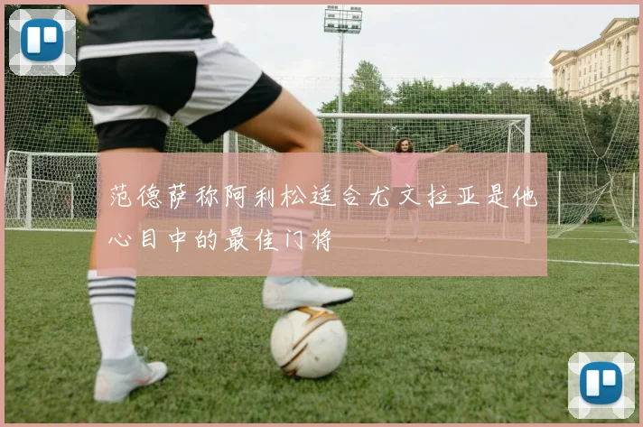 范德萨称阿利松适合尤文拉亚是他心目中的最佳门将